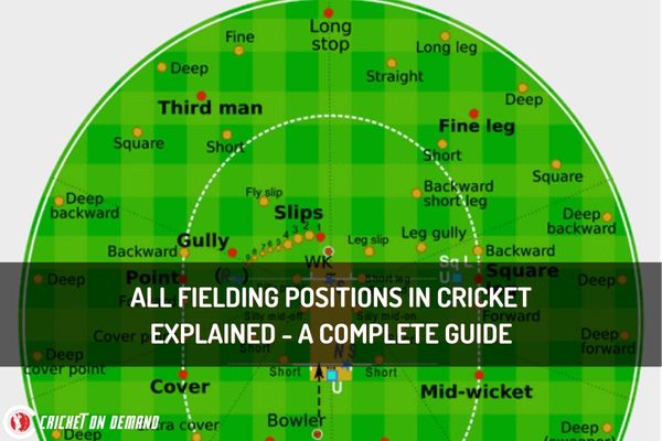 All Fielding positions in cricket explained – a complete guide